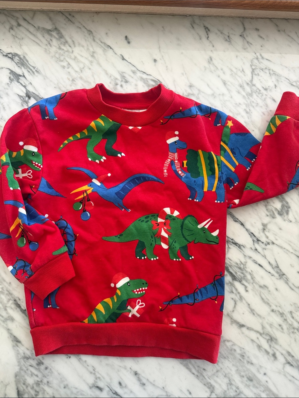 H&M Dinosaur Holiday Sweatshirt - Red